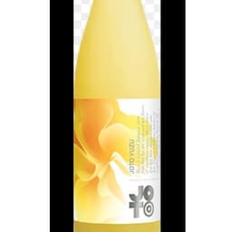 6oz JOTO Yuzu Sake