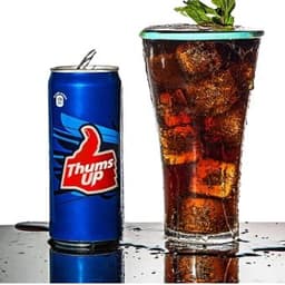 THUMBS UP INDIAN SODA CAN 10OZ