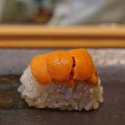 Sea Urchin (Uni)