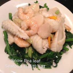 20A Snow Pea Leaf w/ Seafood