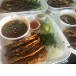 Quesabirria Plato (4)