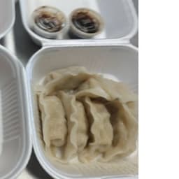 Steamed Gyoza