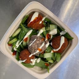 Falafel Plate