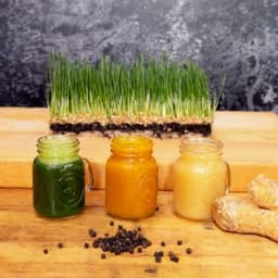 Wheatgrass Shot