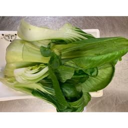 Baby Bok Choy